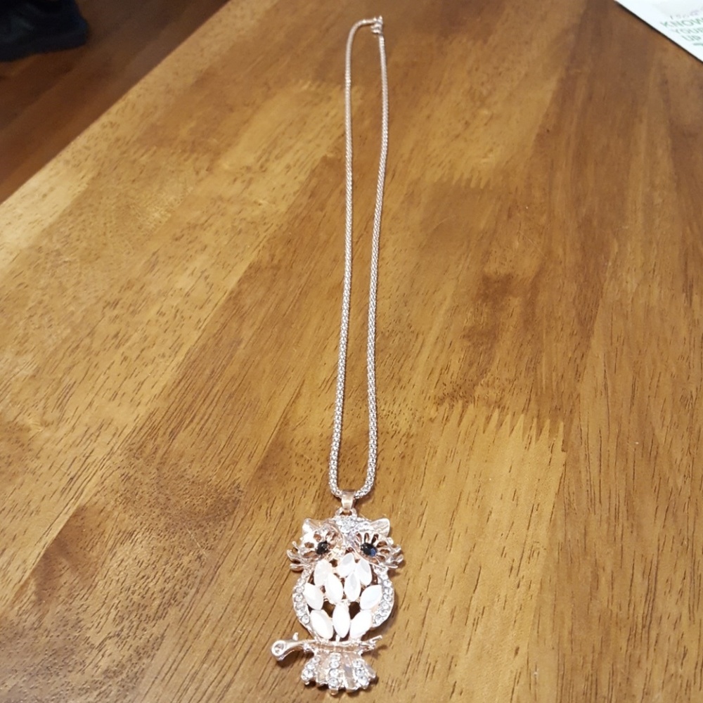 Pretty Owl Necklace!